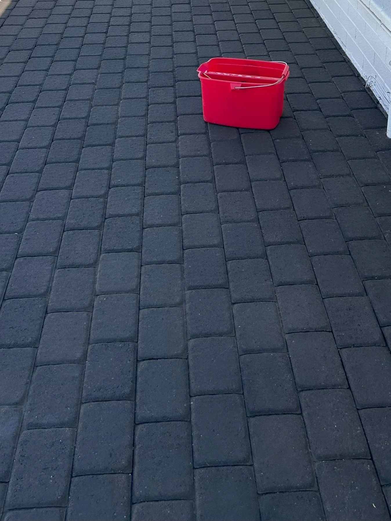 Dirty pavers before pressure washing